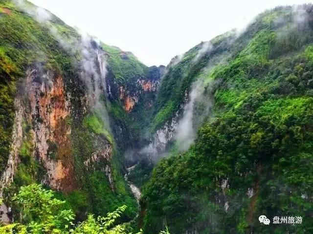 小猫钓鱼游戏龙王版有船